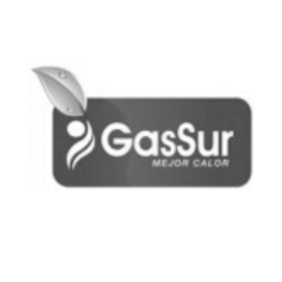 GasSur